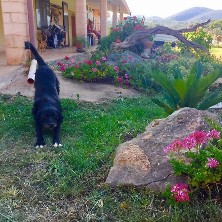 Agriturismo Sogno Latino Iglesias Eksteriør bilde